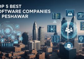 Top 5 best Softawre Companies In peshawar
